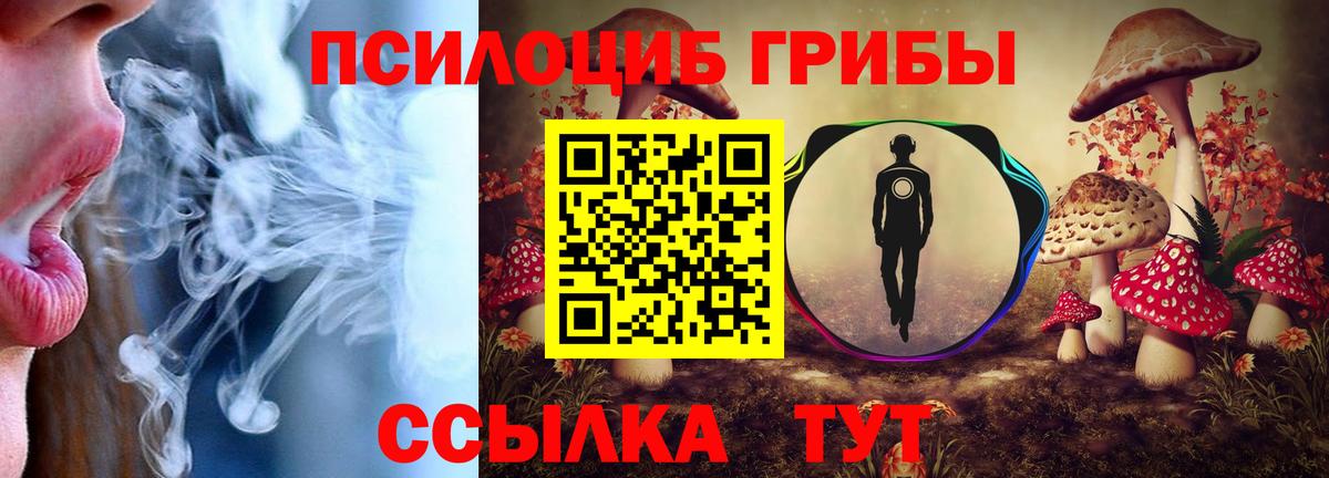 Галлюциногенные грибы Magic Shrooms  Вход с VPN  Кизляр 