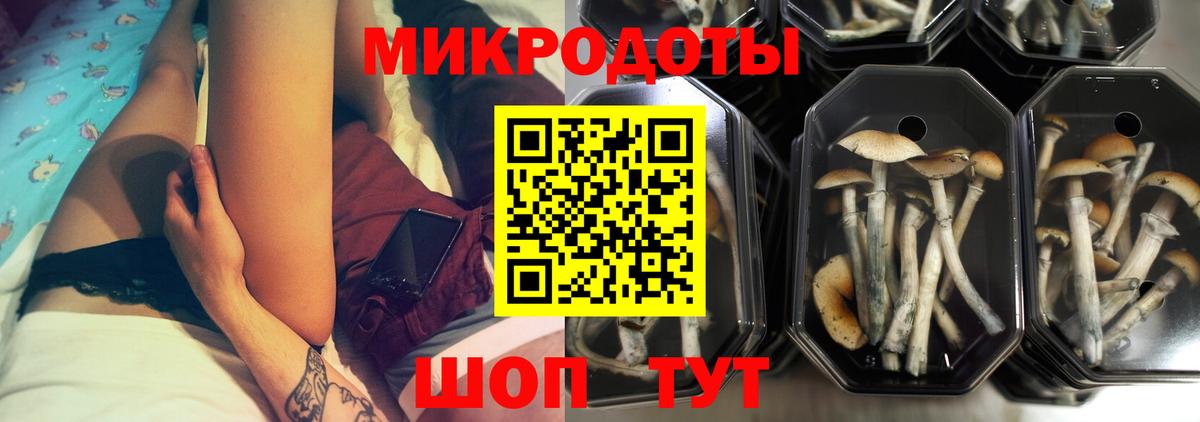Псилоцибиновые грибы Magic Shrooms Кизляр